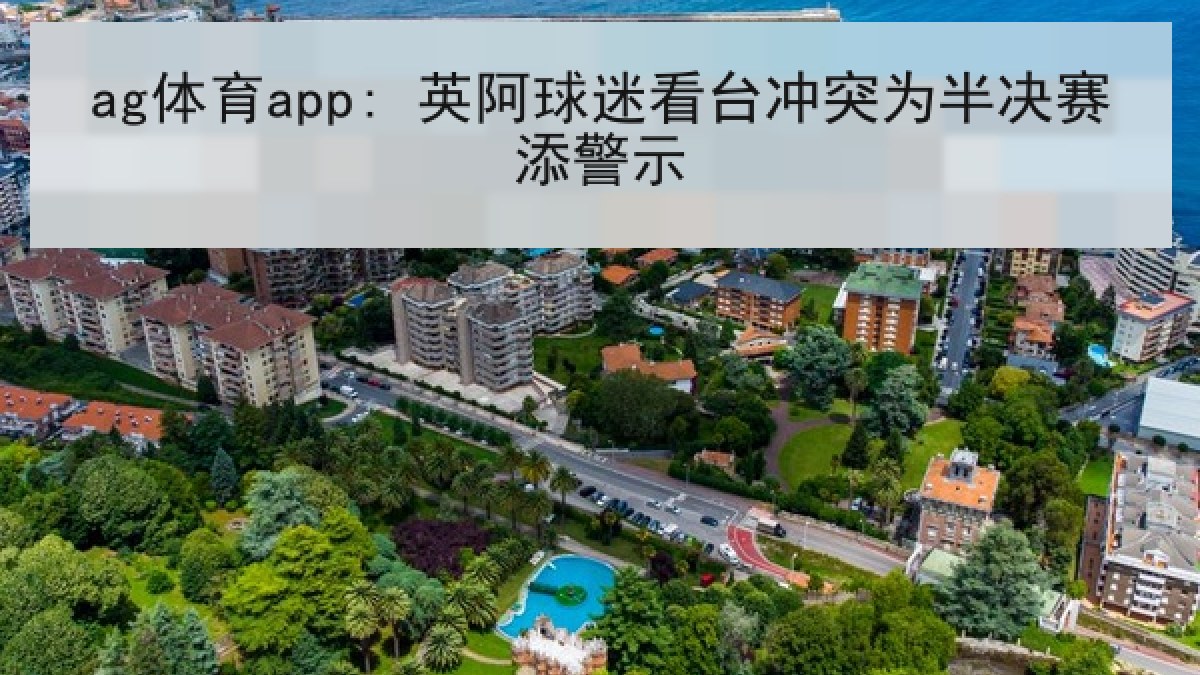 ag体育app: 英阿球迷看台冲突为半决赛添警示